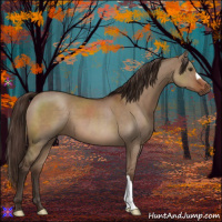 Horse Color:Liver Red Dun 