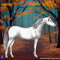 Horse Color:Liver Red Dun Sabino 