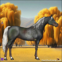 Horse Color:Liver Chestnut Mushroom 