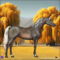 Horse Color:Liver Chestnut Mushroom 