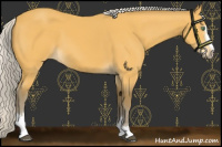 Horse Color:Silver Buckskin Sabino 