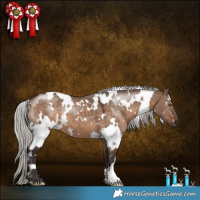 Horse Color:White Spotted Silver Brown Dun