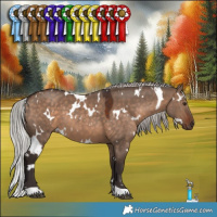Horse Color:White Spotted Silver Brown Dun 