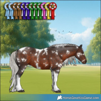 Horse Color:White Spotted Silver Brown Tobiano