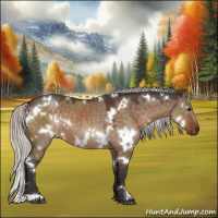 Horse Color:White Spotted Silver Brown Dun
