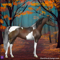 Horse Color:Brown Tobiano 