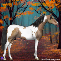 Horse Color:Brown Dun Tobiano 