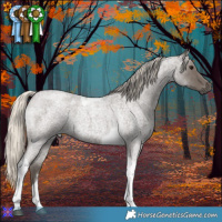 Horse Color:Silver Smoky Blue Roan Tobiano 