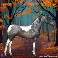 Horse Color:Brown Tobiano 