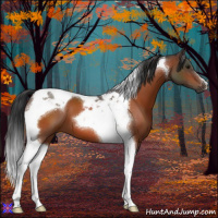 Horse Color:Bay Tobiano 