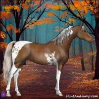 Horse Color:Silver Buckskin Tobiano 
