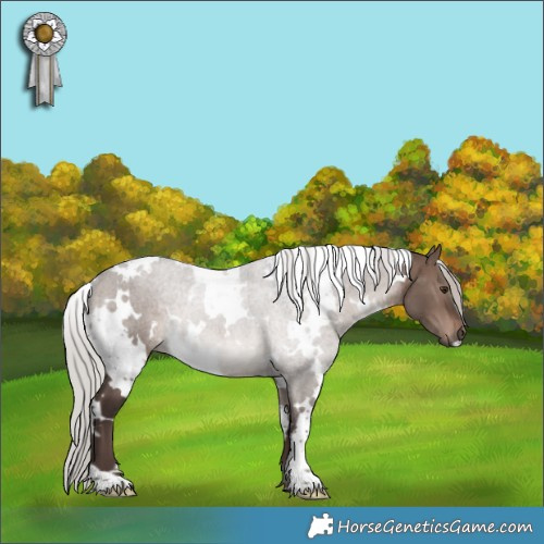 Horse Color:White Spotted Silver Brown Dun Mushroom Rabicano 