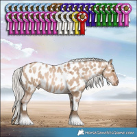 Horse Color:White Spotted Silver Grullo Pearl Tobiano Appaloosa Rabicano