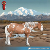 Horse Color:White Spotted Silver Brown Pearl 