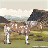 Horse Color:White Spotted Silver Brown Dun