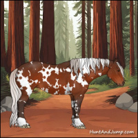 Horse Color:White Spotted Silver Brown 