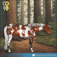 Horse Color:White Spotted Silver Brown