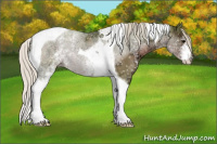 Horse Color:Watercolor White Spotted Silver Black Ice Tobiano 