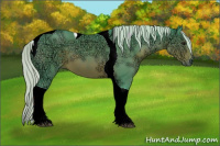 Horse Color:Watercolor Silver Brown Ice Sabino Tobiano