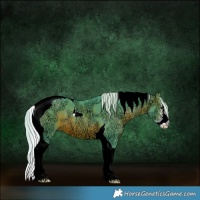 Horse Color:Watercolor Silver Brown Ice Sabino Tobiano 