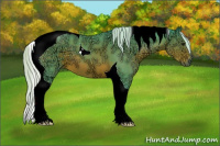 Horse Color:Watercolor Silver Brown Ice Sabino Tobiano 