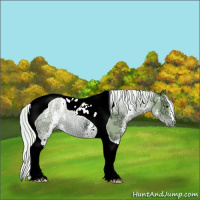 Horse Color:Watercolor White Spotted Silver Brown Ice Tobiano