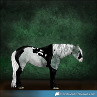 Horse Color:Watercolor White Spotted Silver Brown Ice Tobiano 