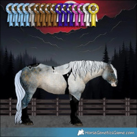 Horse Color:Watercolor Silver Brown Ice Sabino Tobiano 