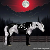 Horse Color:Watercolor White Spotted Silver Black Ice Pearl Tobiano 