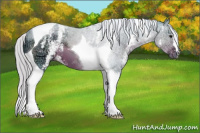 Horse Color:Watercolor White Spotted Silver Brown Ice Tobiano 