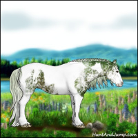Horse Color:Watercolor White Spotted Silver Brown Ice Tobiano 