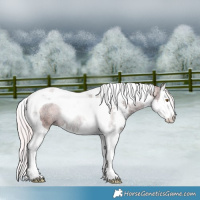 Horse Color:Watercolor Silver Black Ice Pearl Sabino Splash Tobiano Rabicano 