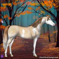 Horse Color:Red Dun Splash 