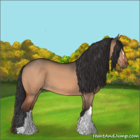 Horse Color:Brown Dun 