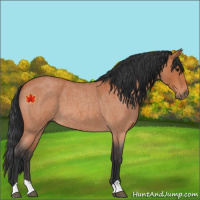 Horse Color:Bay Roan 