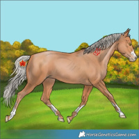 Horse Color:Silver Bay Pearl 