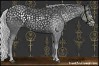 Horse Color:Silver Black Chinchilla 