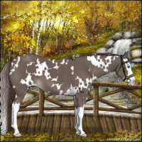 Horse Color:Platinum White Spotted Liver Chestnut Splash 