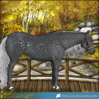 Horse Color:Platinum Silver Black Chinchilla 