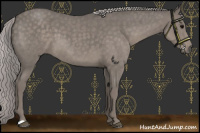 Horse Color:Platinum Silver Blue Roan 