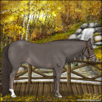 Horse Color:Platinum Liver Red Roan 