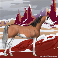 Horse Color:Bay Roan Splash 