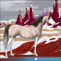 Horse Color:Bay Roan Splash 