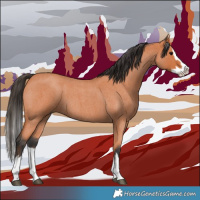 Horse Color:Bay Roan Splash