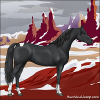 Horse Color:Black Tobiano 