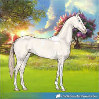 Horse Color:Perlino Dun Tobiano 