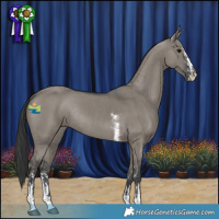 Horse Color:Grullo Sabino Rabicano 