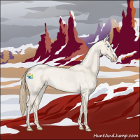 Horse Color:Smoky Creme Roan Dun 