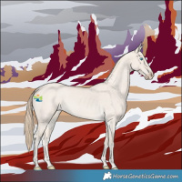 Horse Color:Smoky Creme Roan Dun 