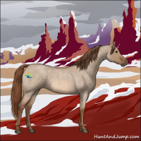 Horse Color:Red Dun Roan 